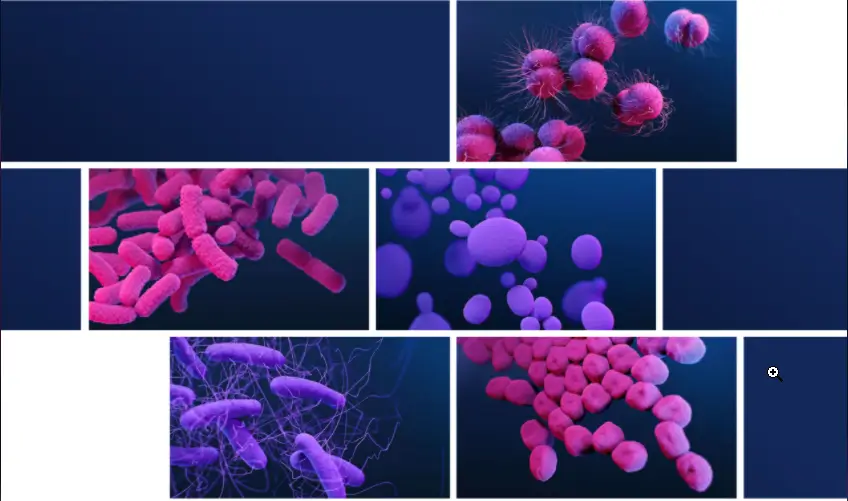CDC: Antibiotic Resistance Threats Report 2019